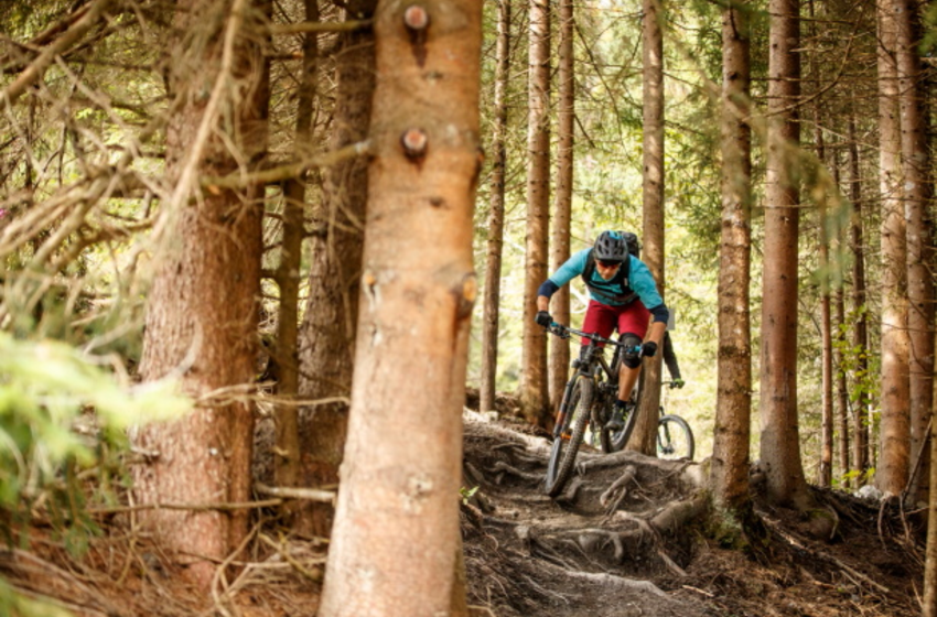 Mountainbiker auf wurzeligem Waldtrail im Großarltal mit voller Schutzausrüstung | © Grossarler Bergbahnen GmbH & Co KG Biker mit Helm und Protektoren auf anspruchsvollem Waldtrail mit Wurzeln im Großarltal | © Grossarler Bergbahnen GmbH & Co KG